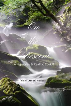 On the Descent: Hypocrisy & Reality: Book 8