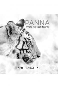 PANNA: Where the Tiger Returns