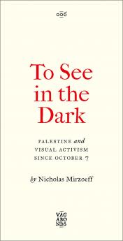 To See In the Dark: Palestine and Visual Activism Since October 7