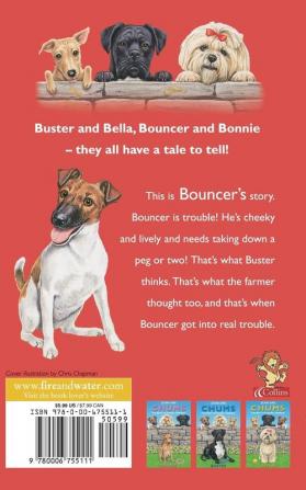 Bouncer (Chums)