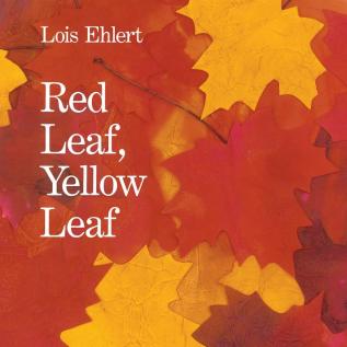 RED LEAF, YELLOW LEAF