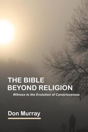 The Bible Beyond Religion