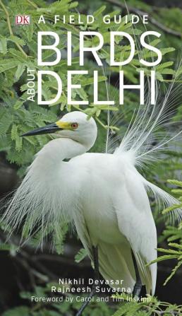 Birds About Delhi