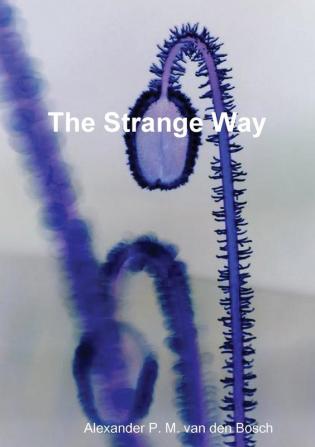 The Strange Way