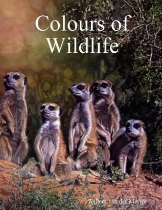 Colours of Wildlife