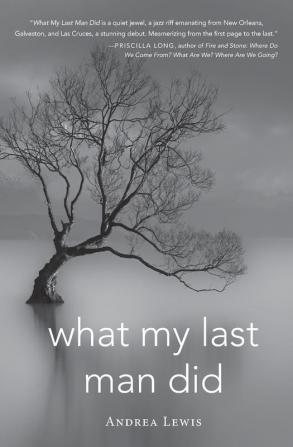 What My Last Man Did (Blue Light Books)