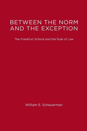 Between the Norm & The Exception – The Frankfurt School & the Rule of Law (Paper): The Frankfurt School and the Rule of Law (Studies in Contemporary German Social Thought)