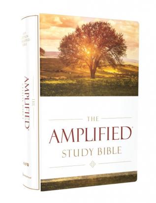 AMPLIFIED STUDY BIBLE HARDCOVER