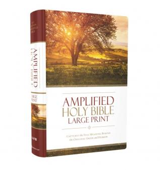 AMPLIFIED HOLY BIBLE, LARGE PRINT