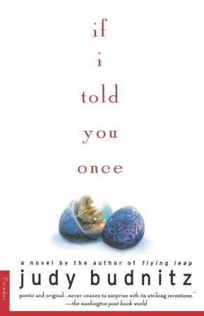 If I Told You Once: A Novel