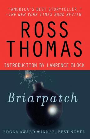 Briarpatch: A Novel