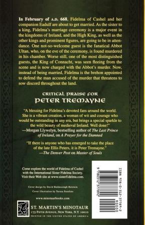 A Prayer for the Damned: A Mystery of Ancient Ireland: 17 (Mysteries of Ancient Ireland 17)