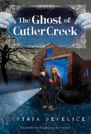 The Ghost of Cutler Creek: 3 (Ghost Mysteries 3)