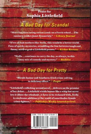 A Bad Day for Mercy: A Crime Novel: 4 (Stella Hardesty Crime Novels 4)