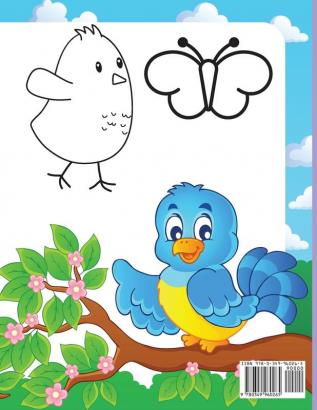 Copy the Pictures: Amazing Activity Book for Kids Copy the Picture for Boys and Girls Great Coloring Gift Book for Birds Lovers