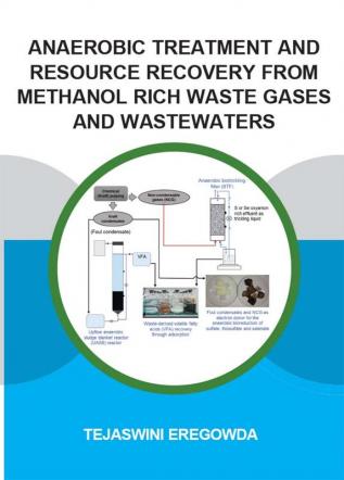 Anaerobic Treatment and Resource Recovery from Methanol Rich Waste Gases and Wastewaters