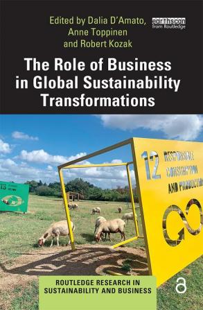 Role of Business in Global Sustainability Transformations