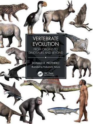 Vertebrate Evolution