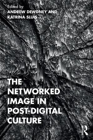 Networked Image in Post-Digital Culture