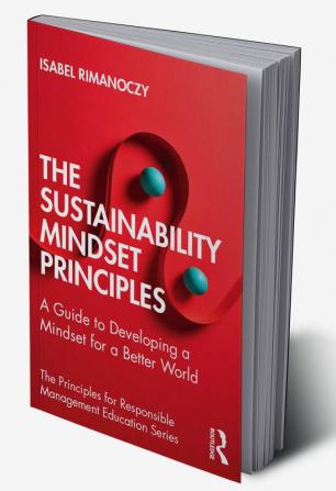 Sustainability Mindset Principles