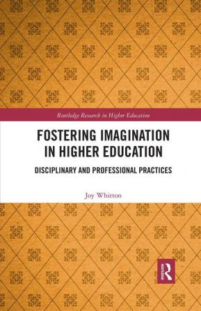 Fostering Imagination in Higher Education