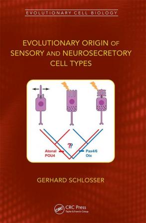 Evolutionary Origin of Sensory and Neurosecretory Cell Types