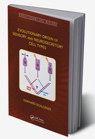 Evolutionary Origin of Sensory and Neurosecretory Cell Types