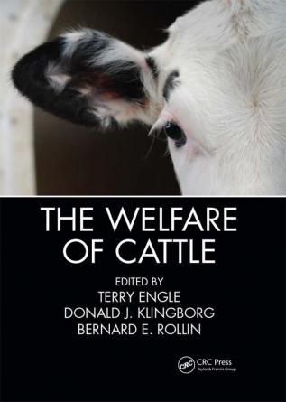 Welfare of Cattle