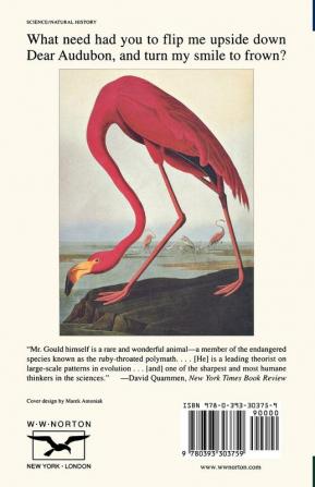 Flamingo′s Smile – Reflections in Natural History (Paper)