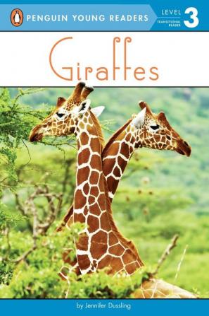 Giraffes