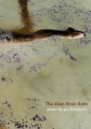 The Alien Brain Balm: words abducted from the spaceship