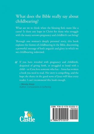 Childbearing Redeemed: A journey of suffering and hope