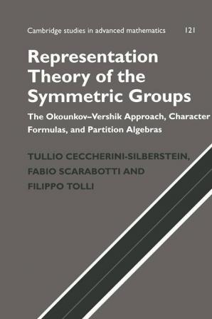 Representation Theory of the Symmetric Groups