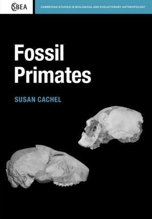 Fossil Primates