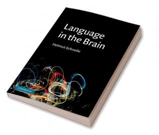 Language in the Brain