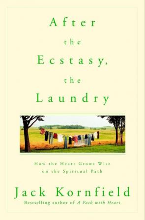 After the Ecstasy the Laundry