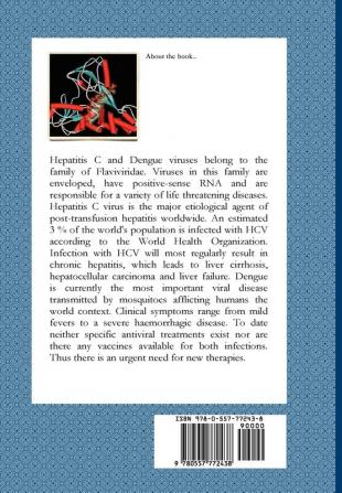 Computer-aided drug design. The HCV family example.