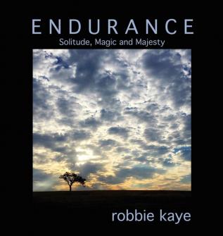 Endurance: Solitude Magic and Majesty: 1 (Robbie Kaye Trilogy)