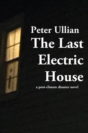 The Last Electric House: a post-climate disaster novel