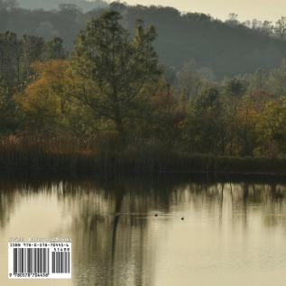 Tale of Lakewood Jenny: A true story about a wood duck