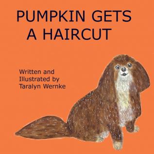 Pumpkin Gets a Haircut