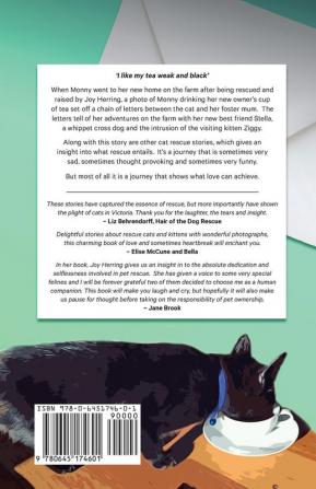 Letters from a Little Black Cat: and other rescue stories