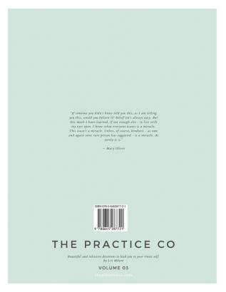 The Practice Co - Volume Three