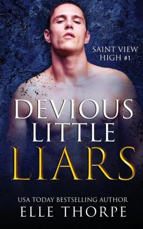 Devious Little Liars: A High School Bully Romance: 1 (Saint View High)