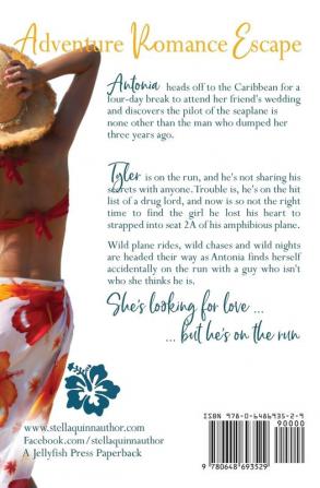 Island Fling: The Island Escape Series Book 3