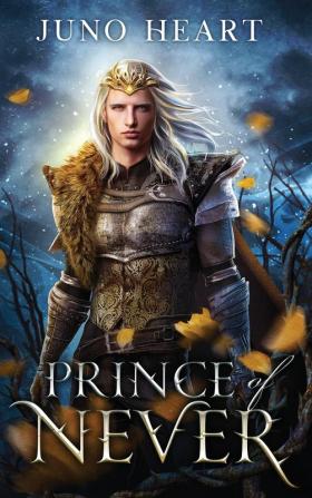 Prince of Never: A Fae Romance: 1 (Black Blood Fae)