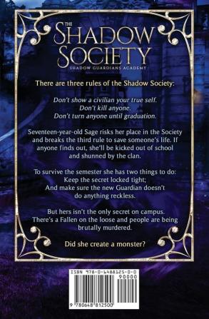 The Shadow Society: 1 (Shadow Guardians Academy)