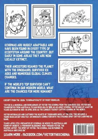 Victor The Echidna: Colouring Book and Fun Facts: 1