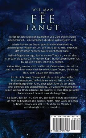 Wie Man Eine Fee Fängt: Fantasy Romantik: 1 (Winterdornen)