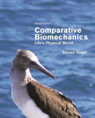 Comparative Biomechanics